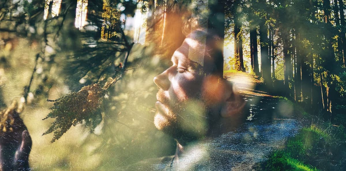 Strategies for Learning the Jhanas