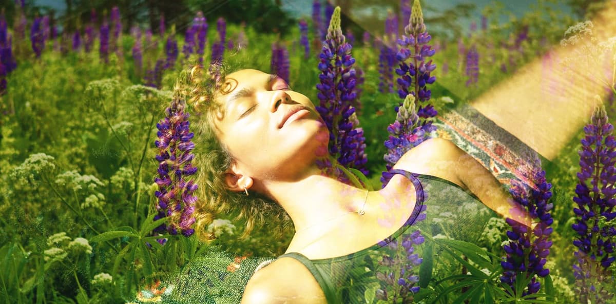 The Science of Jhana: What Research Shows